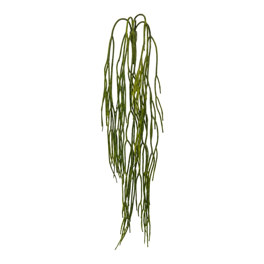 Coolplant Rhipsalis kunsthangplant 65 cm