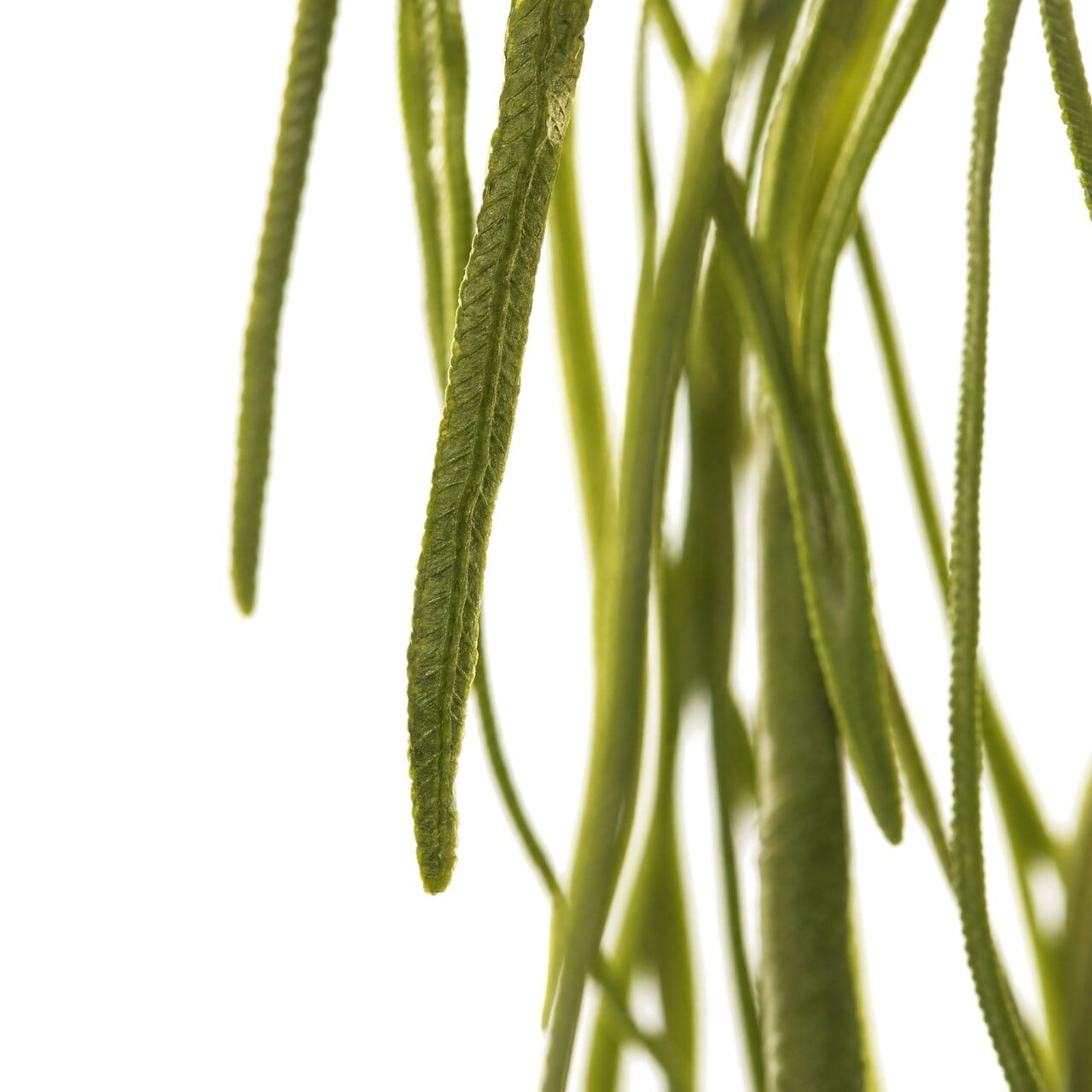Rhipsalis kunsthangplant 65 cm
