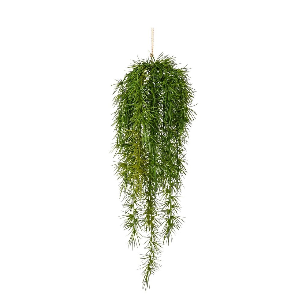 Coolplant Asparagus Sprengeri kunsthangplant 60 cm