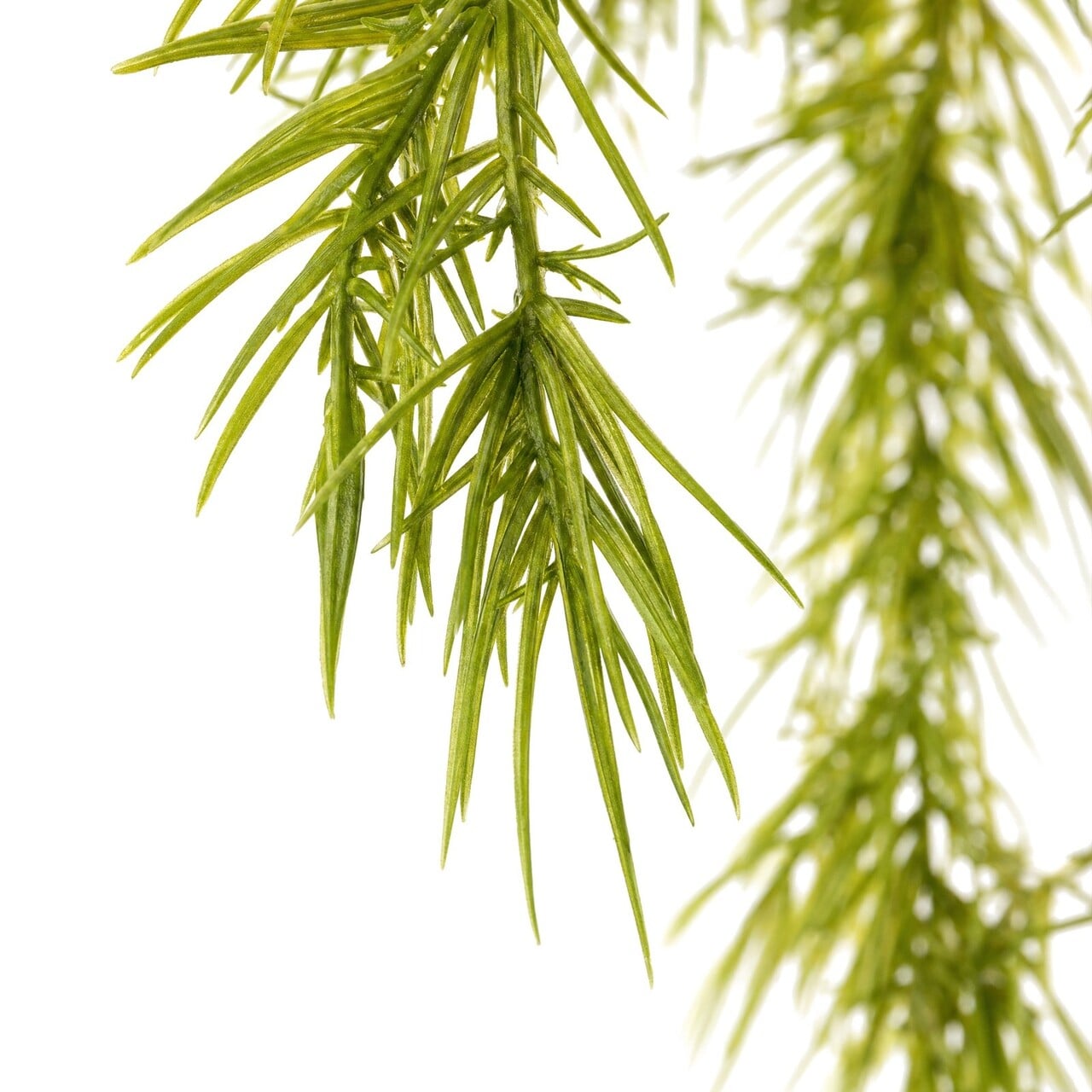 Asparagus Sprengeri kunsthangplant 60 cm