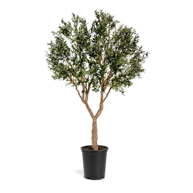 Coolplant Olijf kunstboom 300 cm