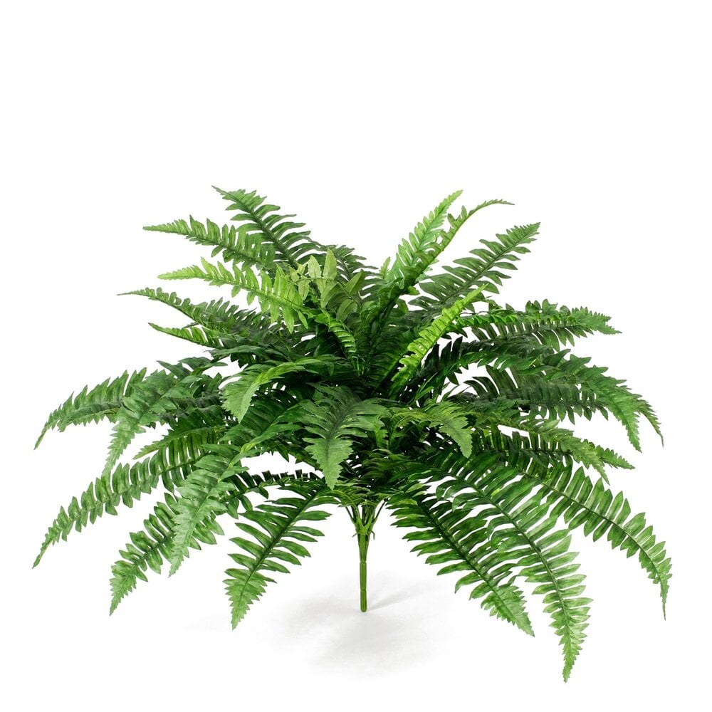 Coolplant Bostonfarn Kunstbouquet 65 cm