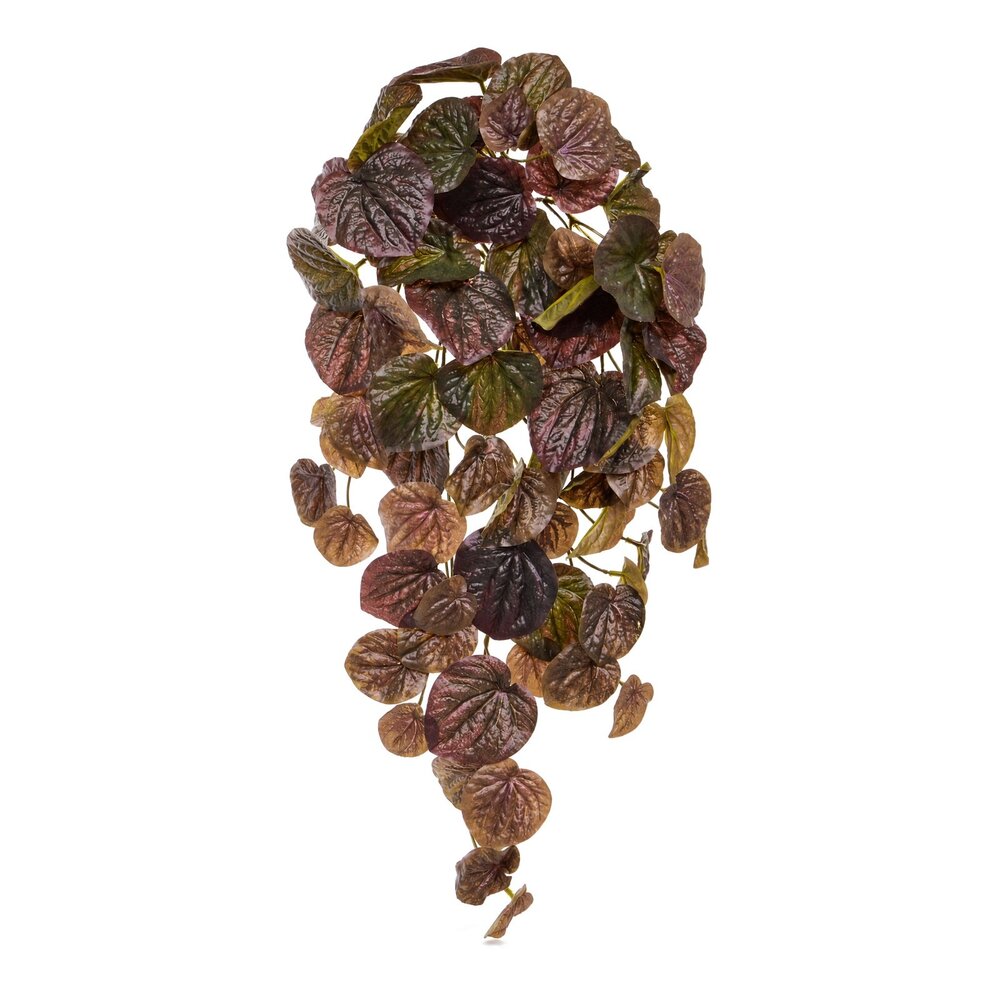 Coolplant Peperomia Caperata Kunstpflanze bordeaux 60 cm