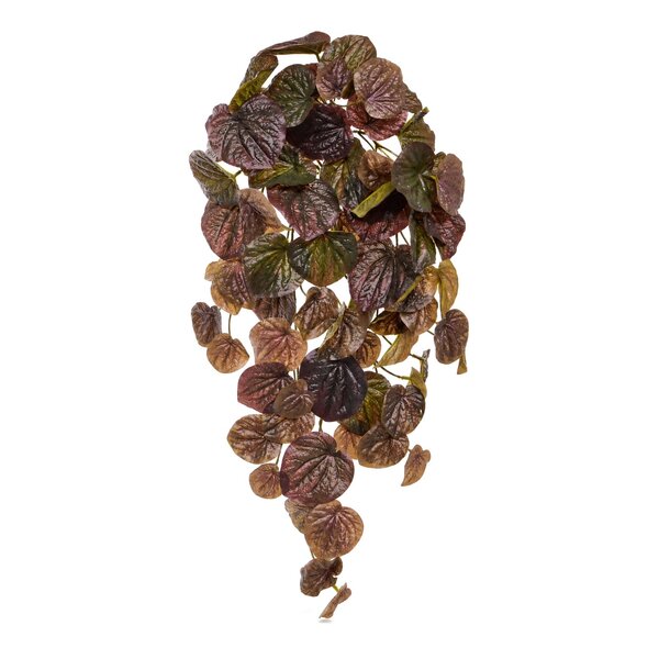 Coolplant Peperomia Caperata kunstplant bordeaux 60 cm