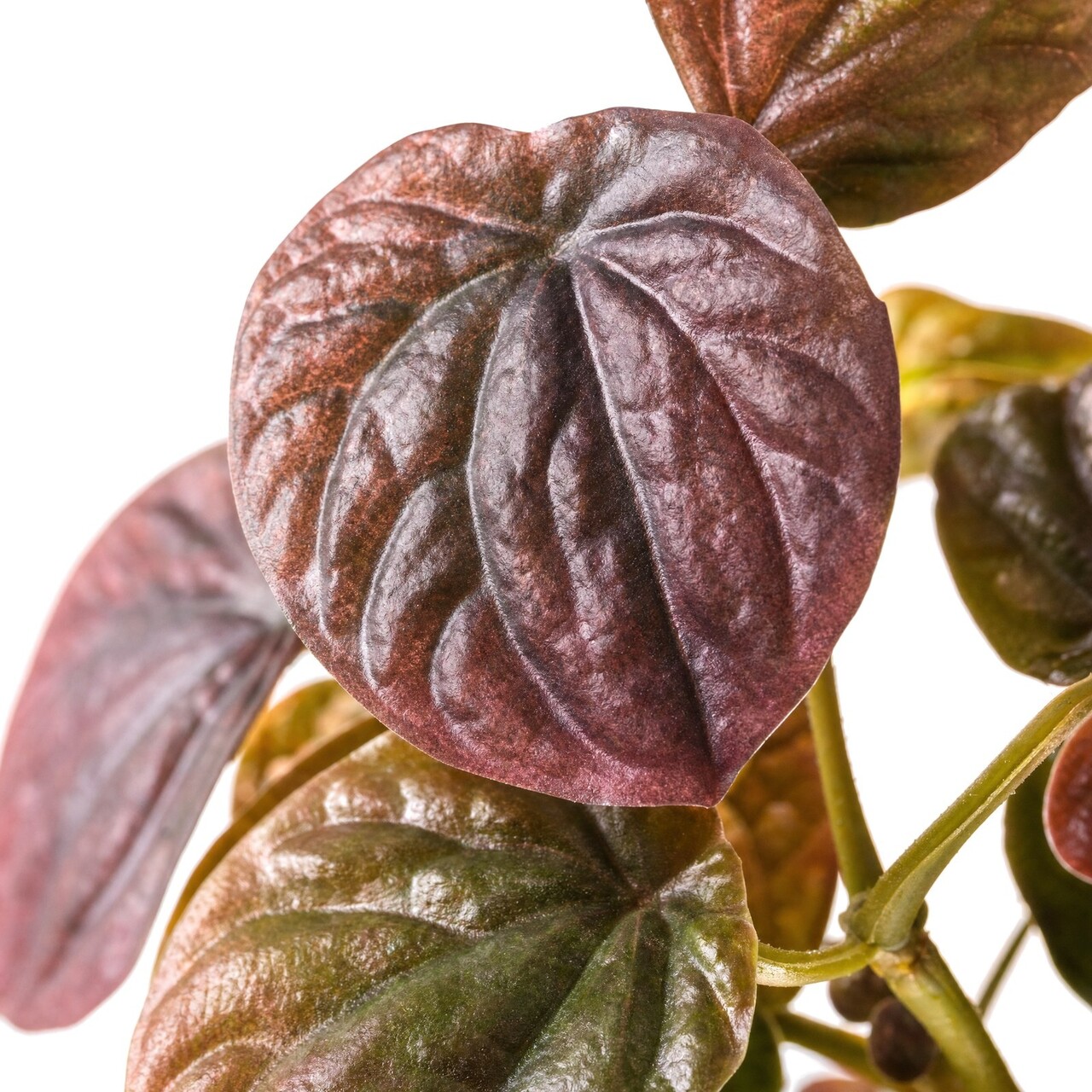 Peperomia Caperata kunstplant bordeaux 60 cm