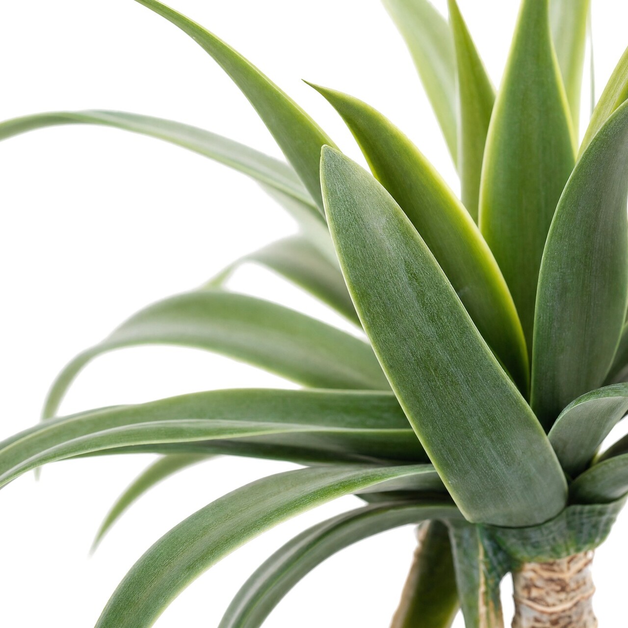Agave Kunstpflanze auf 2 Stämmen 100 cm