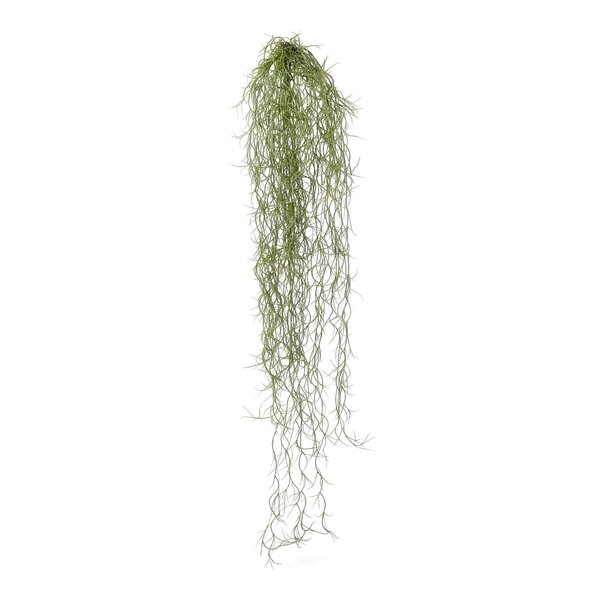 Coolplant Tillandsia kunsthangplant 75 cm