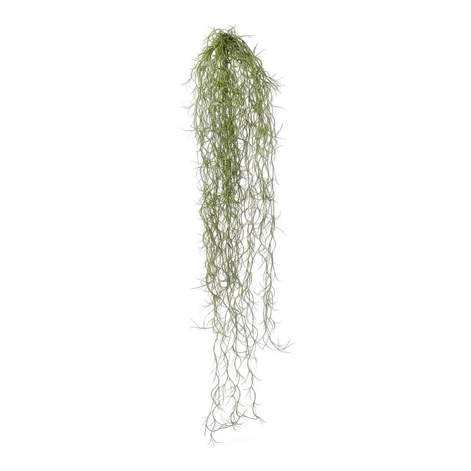 Coolplant Tillandsia kunsthangplant 75 cm