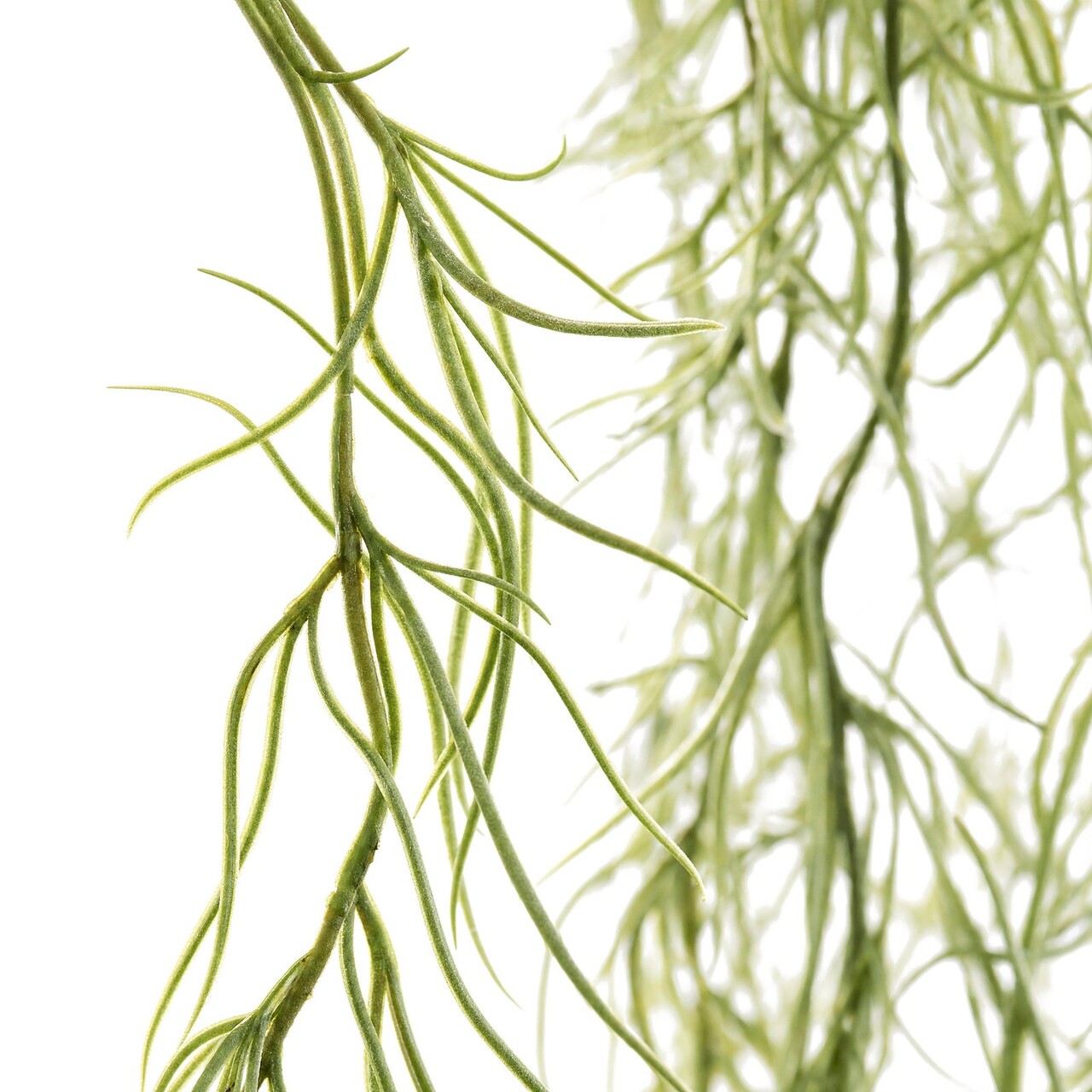 Tillandsia kunsthangplant 75 cm