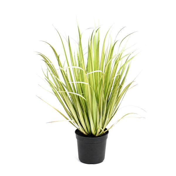 Coolplant Gras kunstplant 93 cm