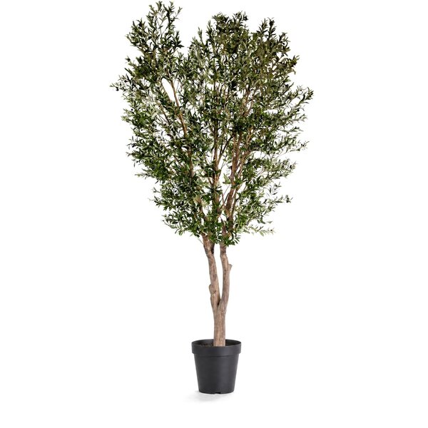 Coolplant Olijf kunstboom 400 cm