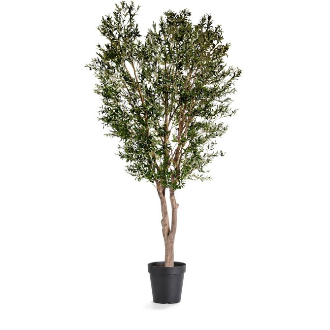 Coolplant Olijf kunstboom 400 cm