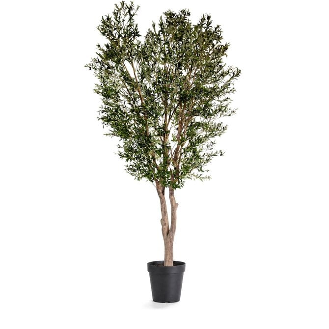 Coolplant Oliven Kunstbaum 400 cm