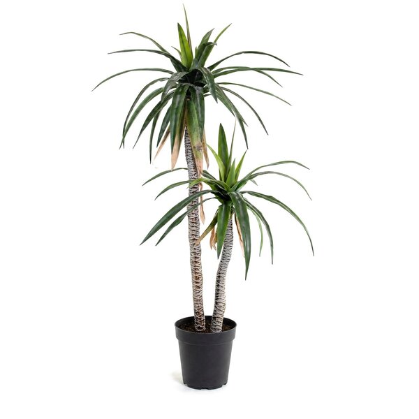 Coolplant Agave kunstplant op 2 stammen 163 cm