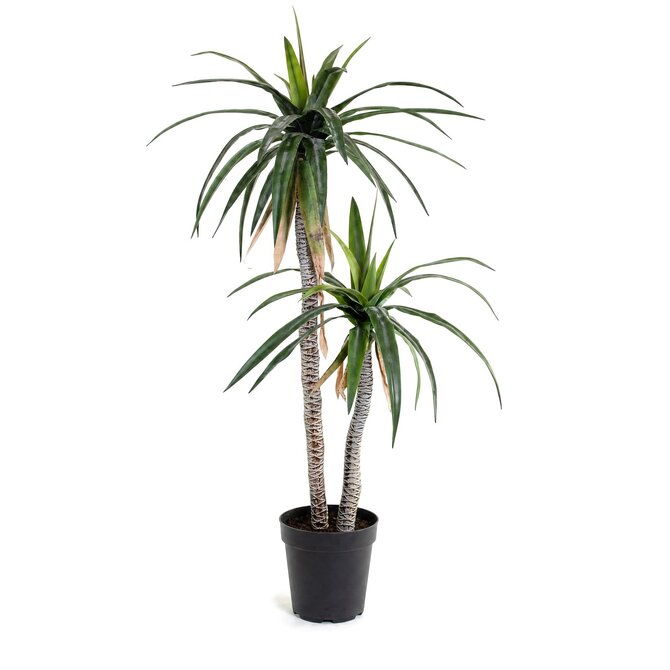 Coolplant Agave kunstplant op 2 stammen 163 cm