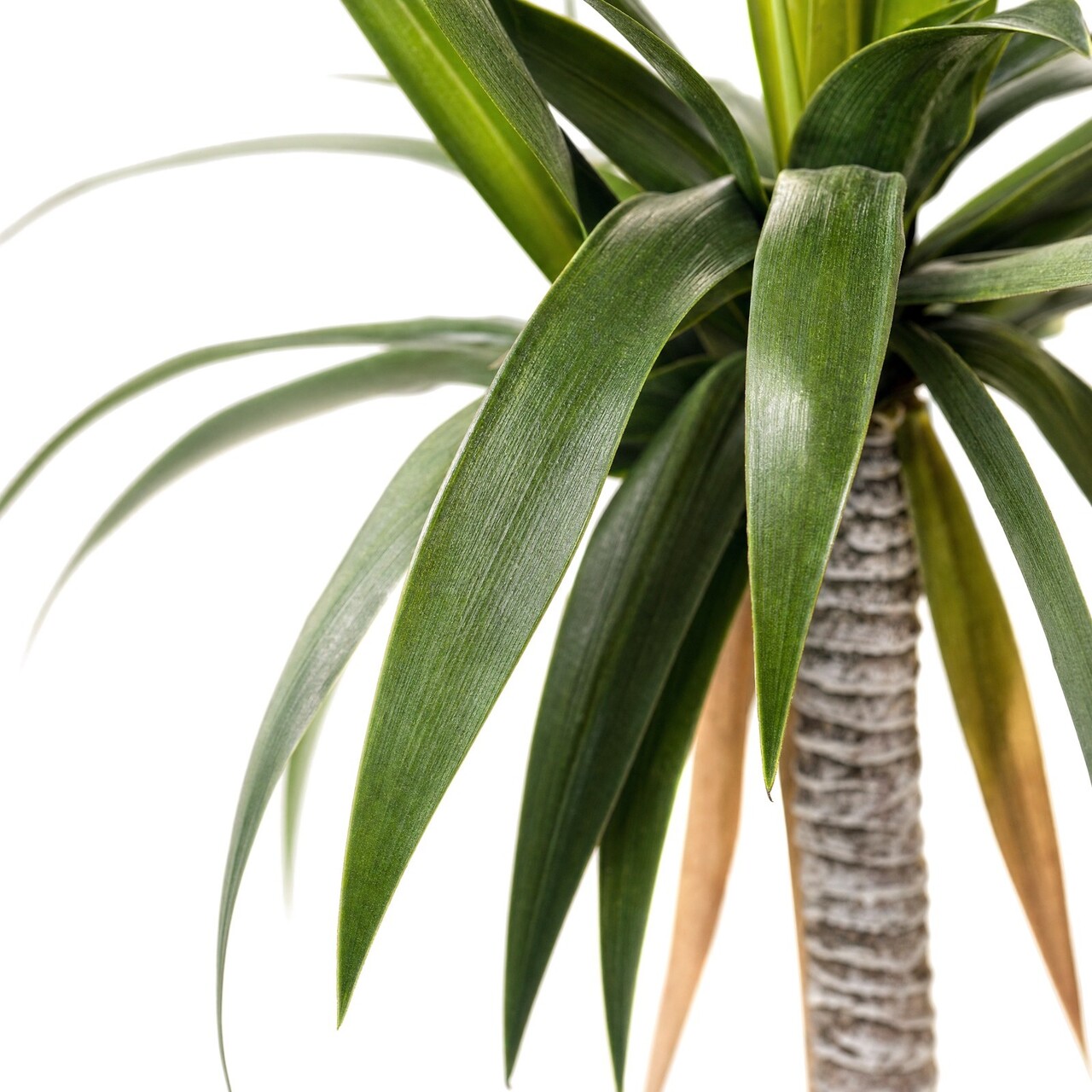 Agave kunstplant op 2 stammen 163 cm