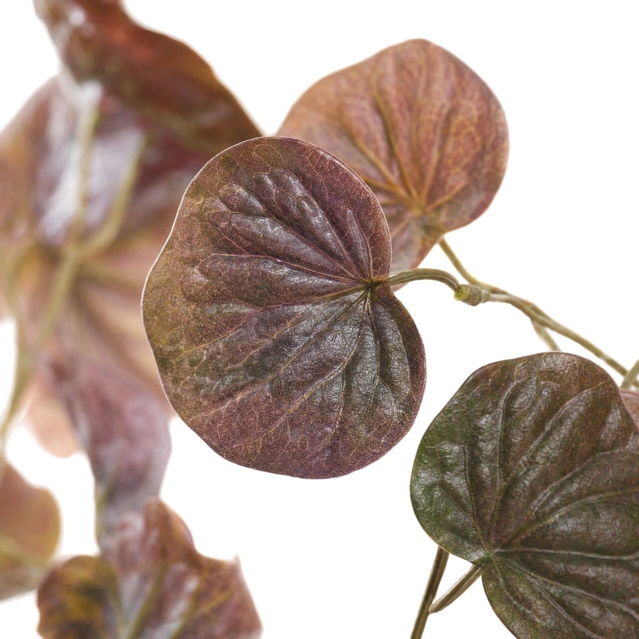 Peperomia kunstguirlande bordeaux 180 cm