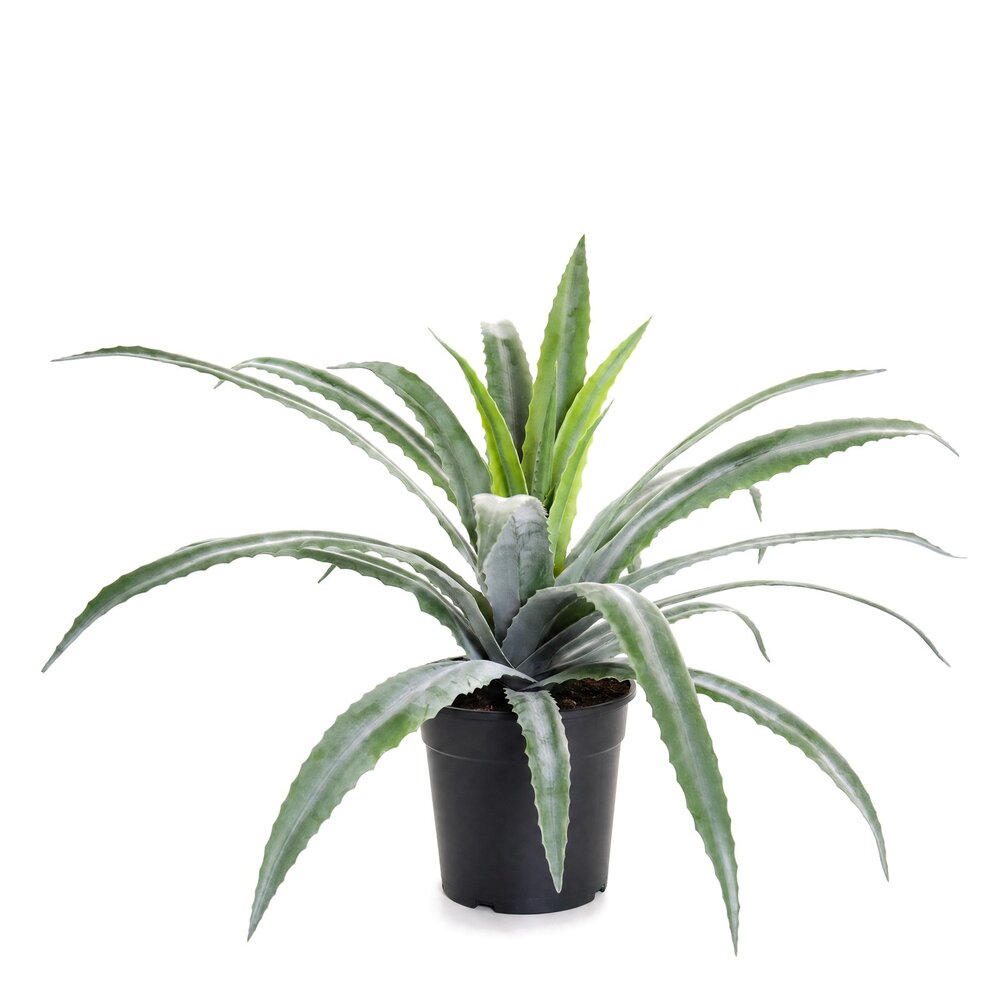 Coolplant Aloë vera kunstplant 61 cm