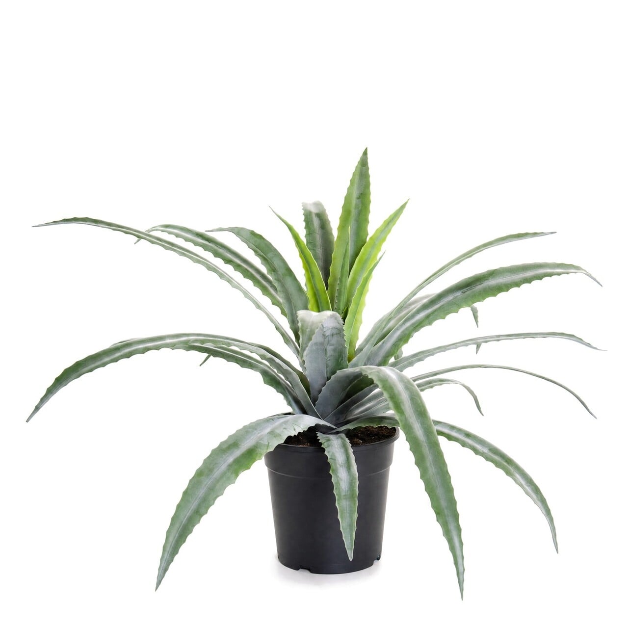 Aloë vera kunstplant 61 cm