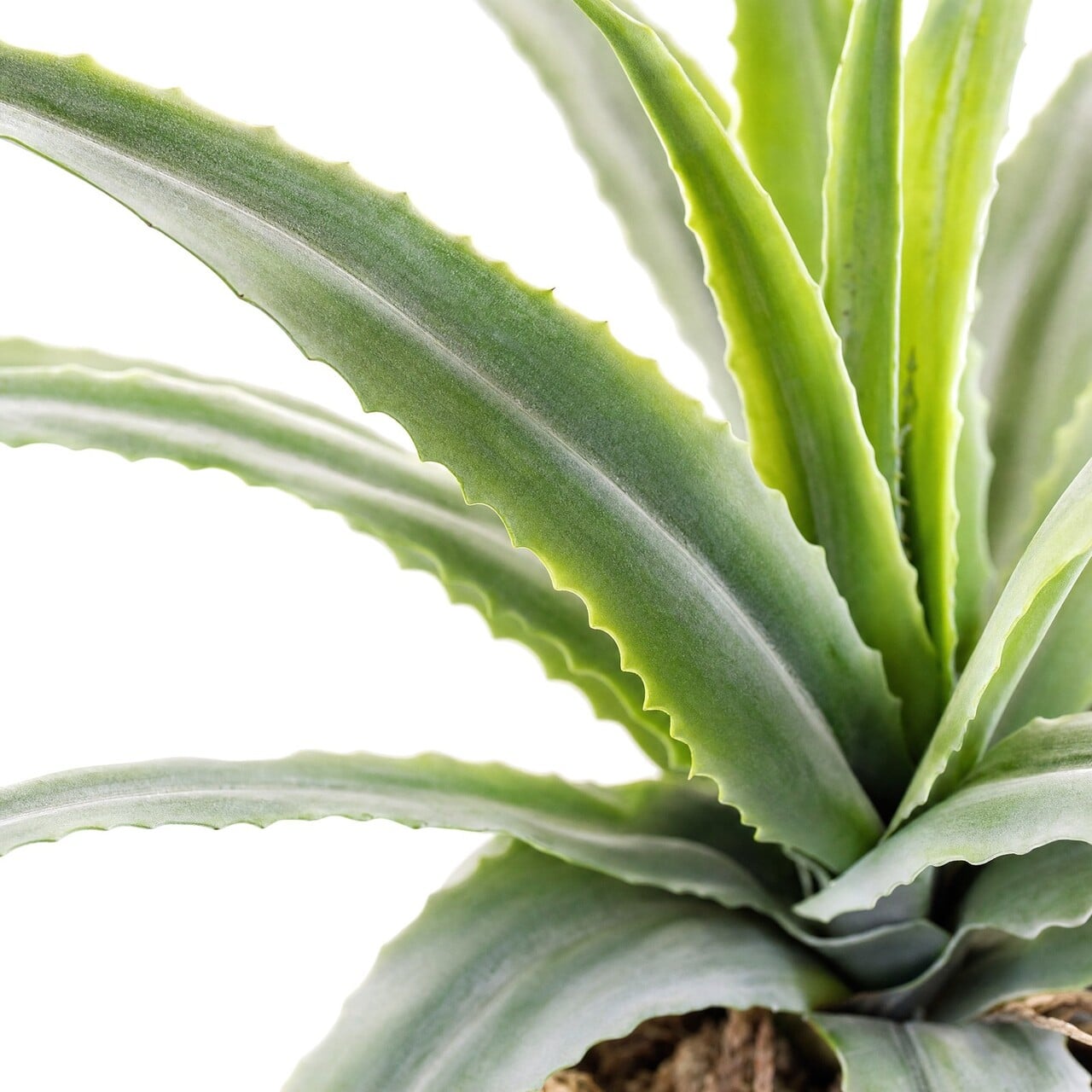Aloë vera kunstplant 61 cm