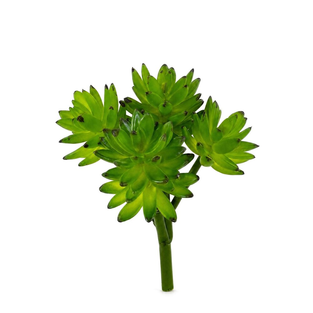 Coolplant Echeveria Kunstbouquet 13 cm