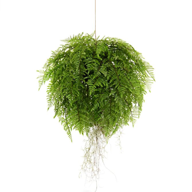 Coolplant Varen kunsthangplant 55 cm