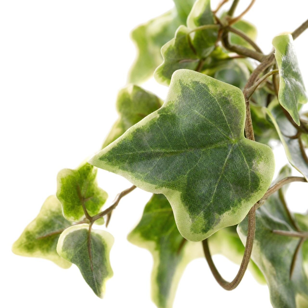 Hedera Kunsthängepflanze bunt 55 cm – schwer entflammbar