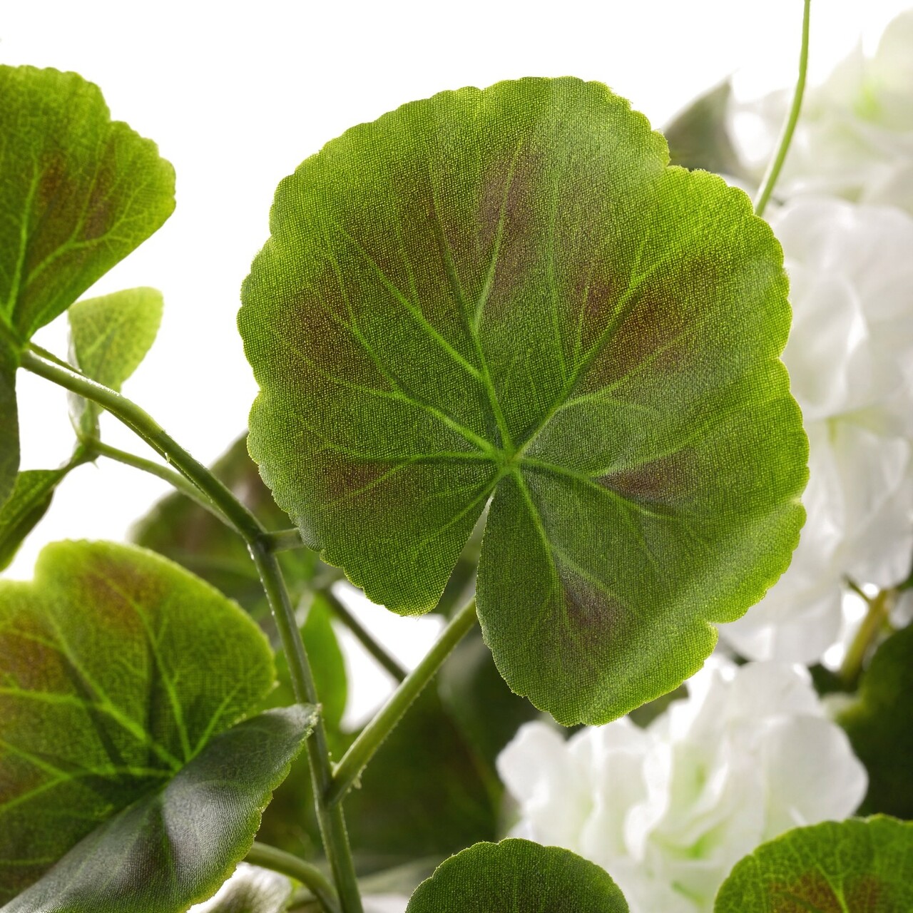 Geranium kunsthangplant wit 73 cm – brandvertragend
