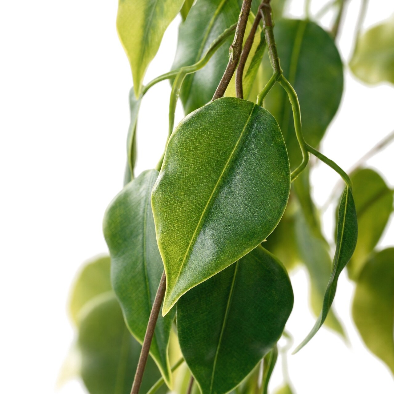 Ficus kunsthangplant kleinbladig 93 cm – brandvertragend