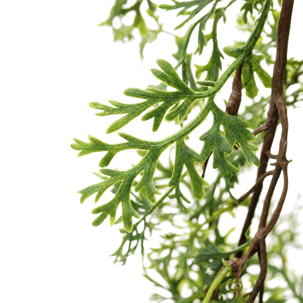 Jeneverbes kunsthangplant 80 cm – brandvertragend
