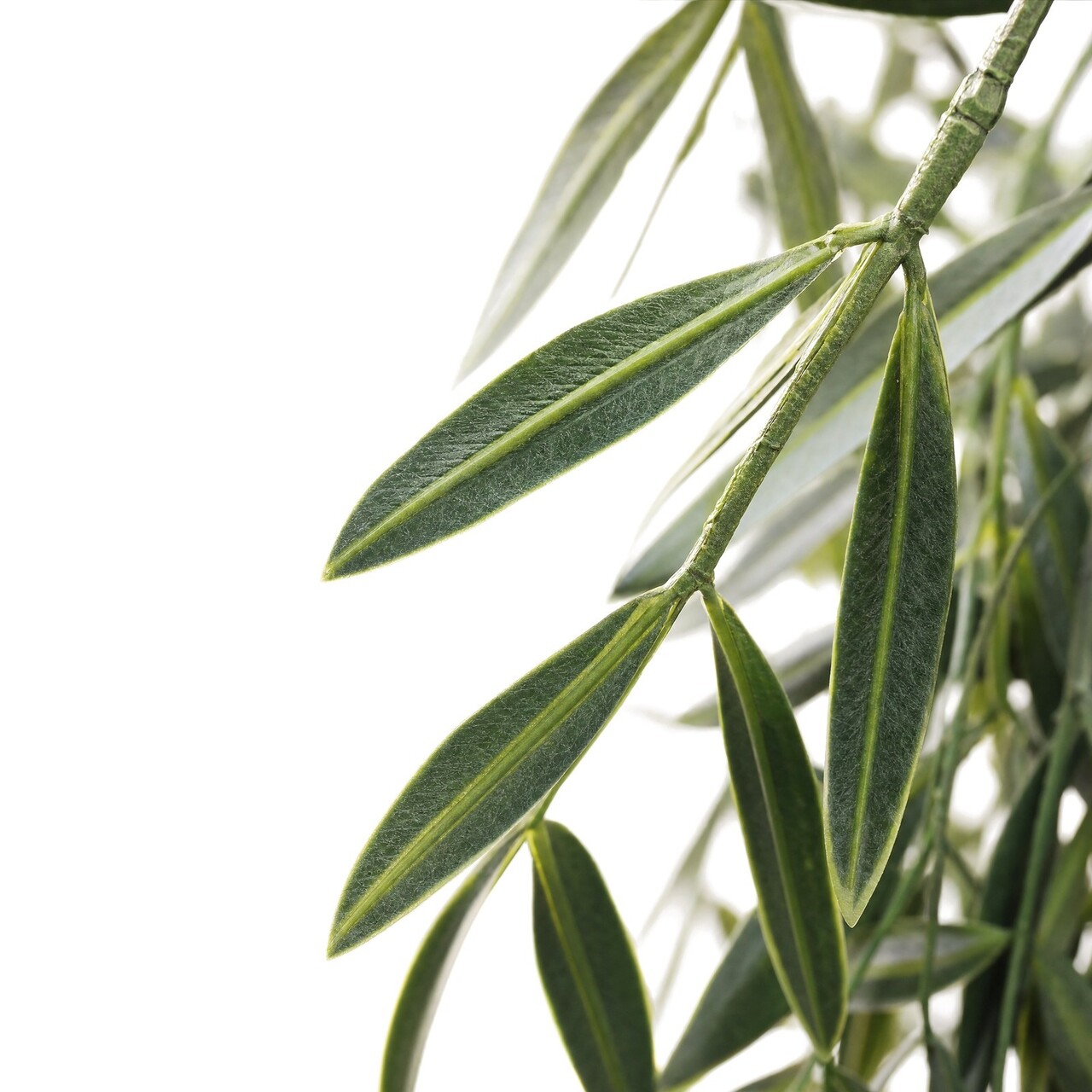 Eucalyptus kunsthangplant groen 91 cm – brandvertragend