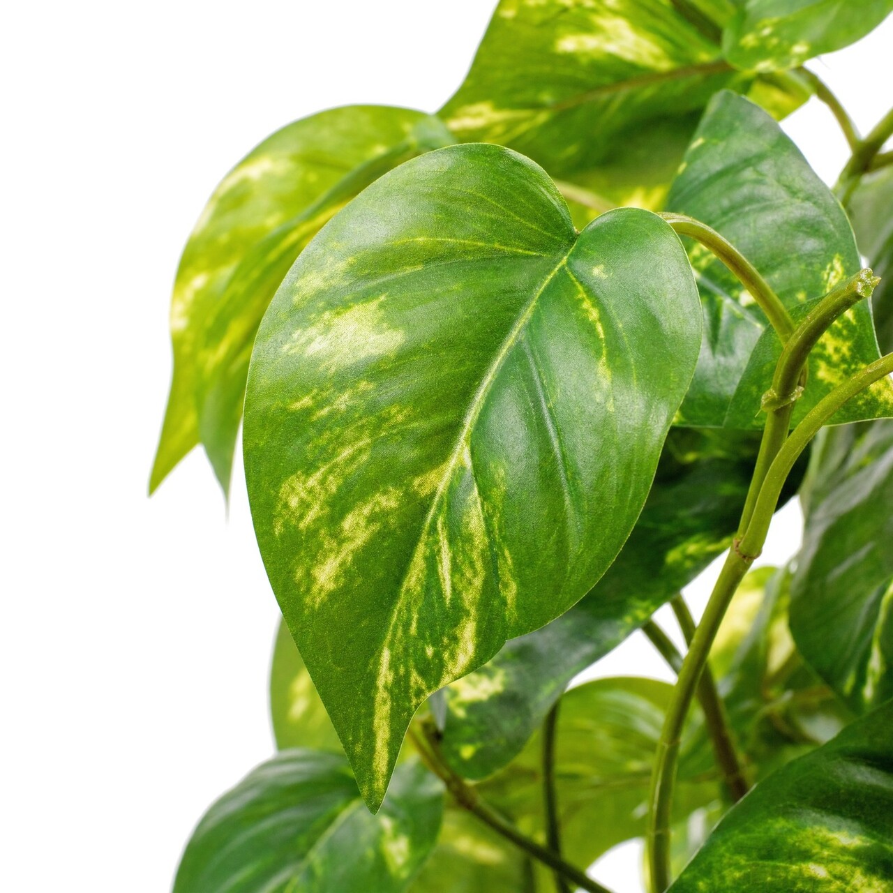 Pothos kunsthangplant bont 51 cm – brandvertragend