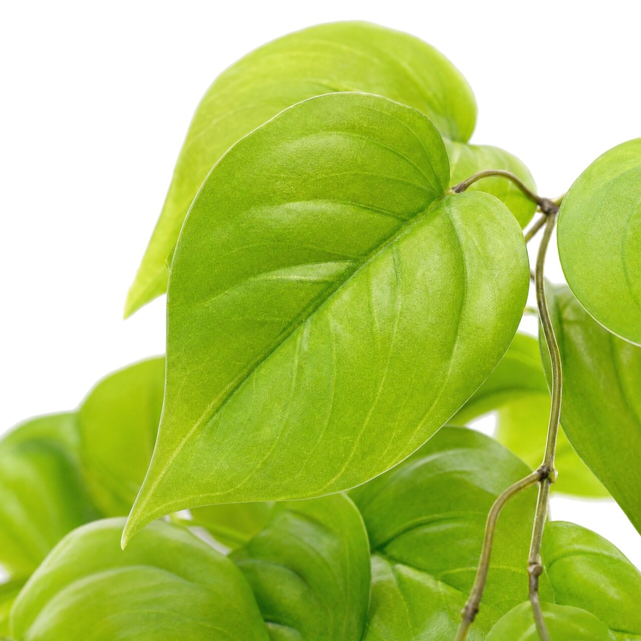 Pothos Kunsthängepflanze hellgrün 51 cm – schwer entflammbar