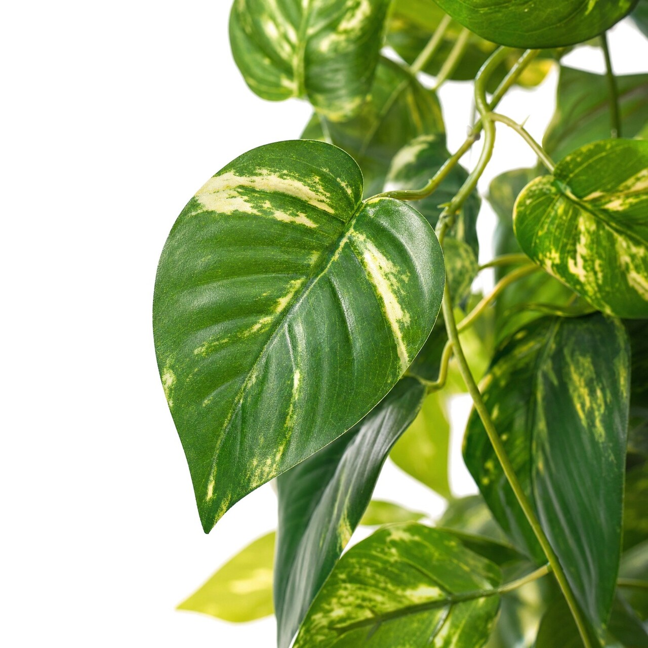 Pothos kunsthangplant bont 83 cm – brandvertragend
