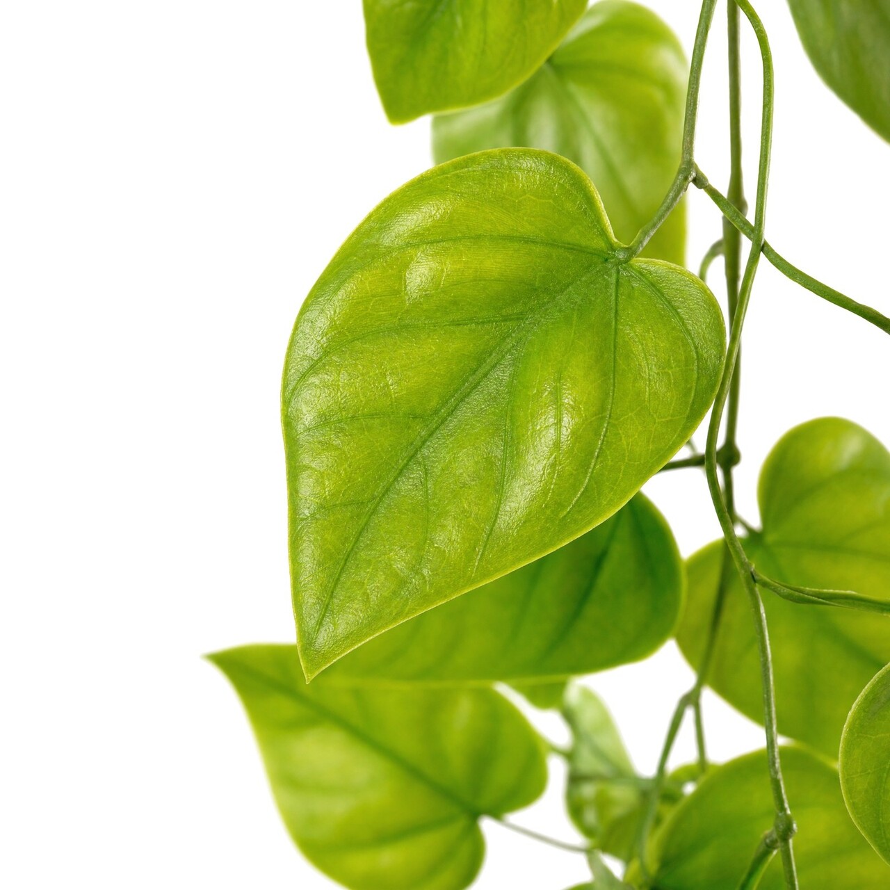 Pothos Kunstgirlande hellgrün 182 cm – schwer entflammbar
