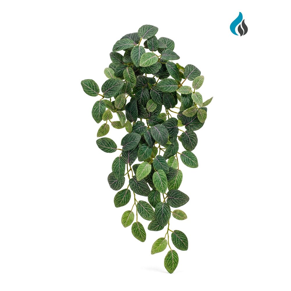 Fittonia Kunsthängepflanze 54 cm – schwer entflammbar