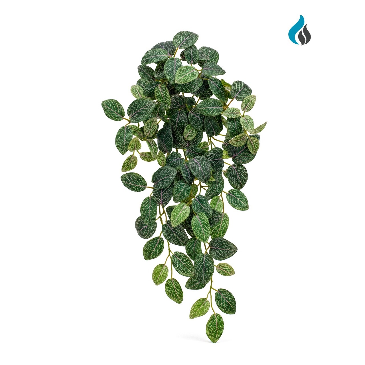 Fittonia kunsthangplant 54 cm – brandvertragend
