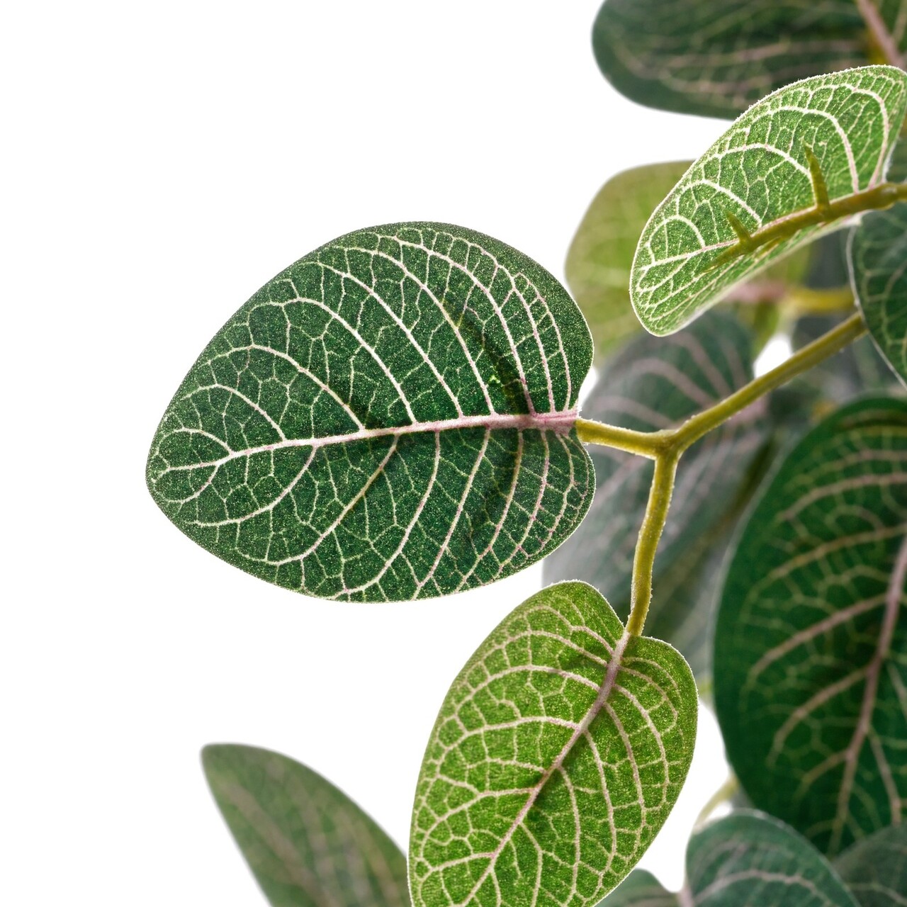 Fittonia kunsthangplant 54 cm – brandvertragend
