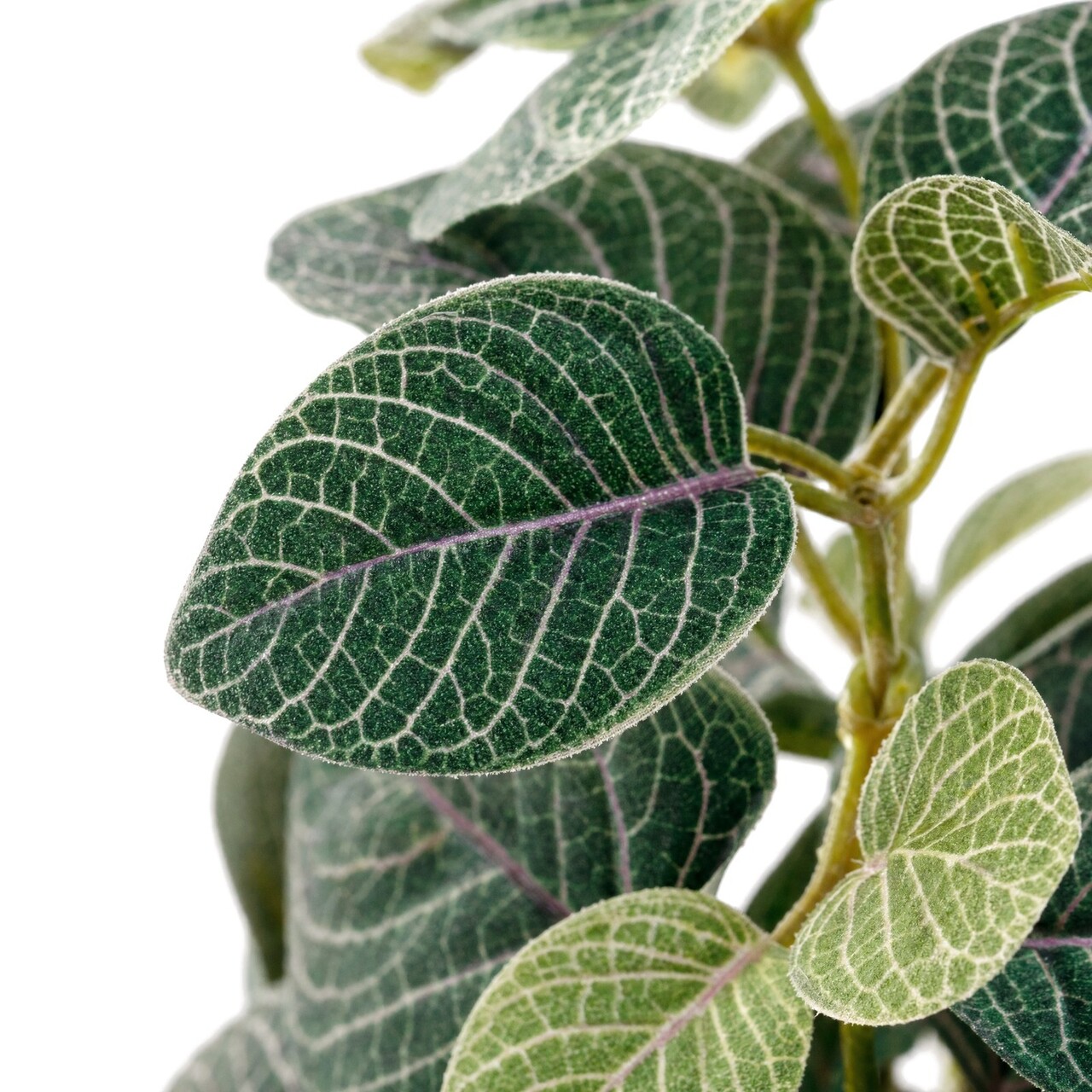 Fittonia kunsthangplant 70 cm – brandvertragend