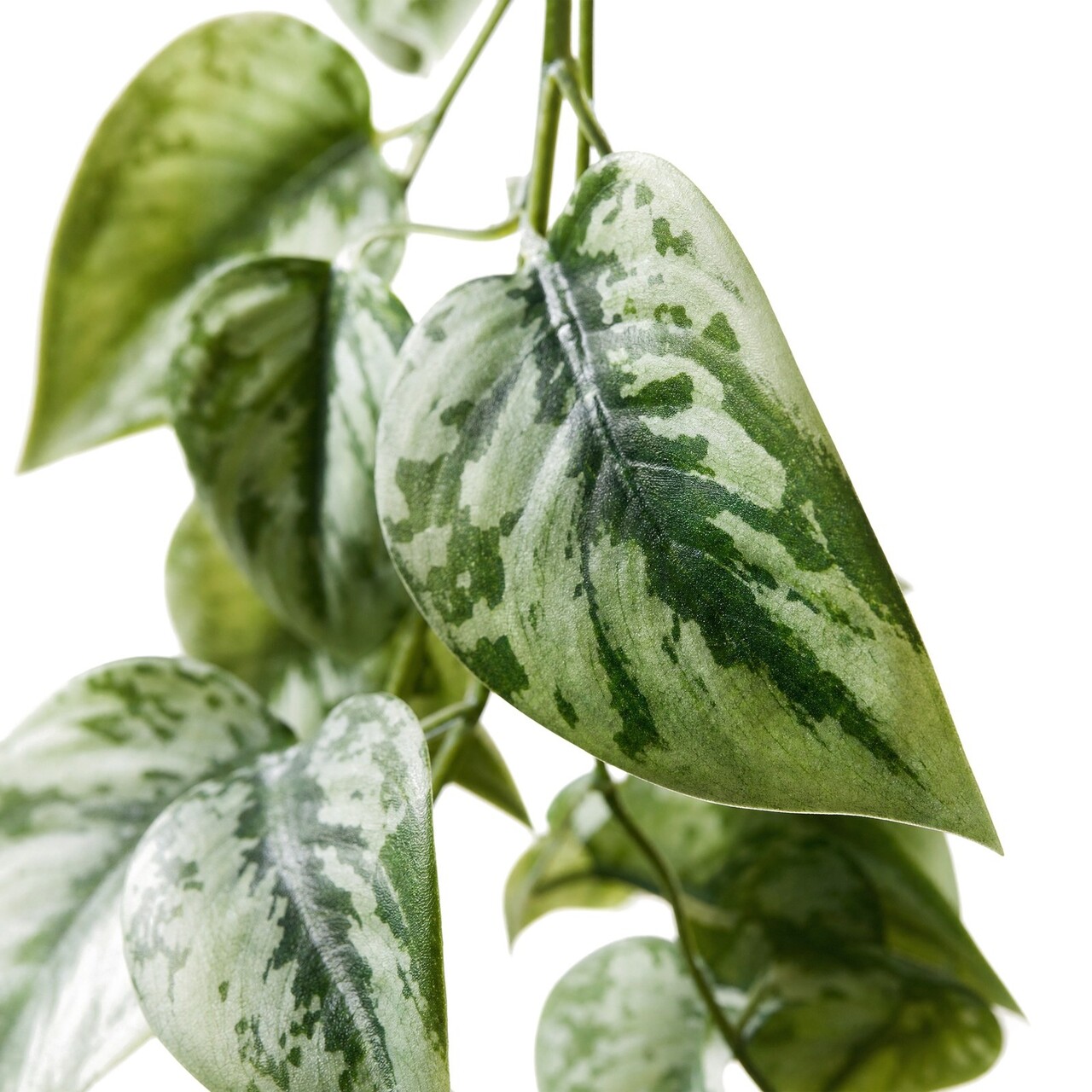 Scindapsus kunstslinger 175 cm – brandvertragend