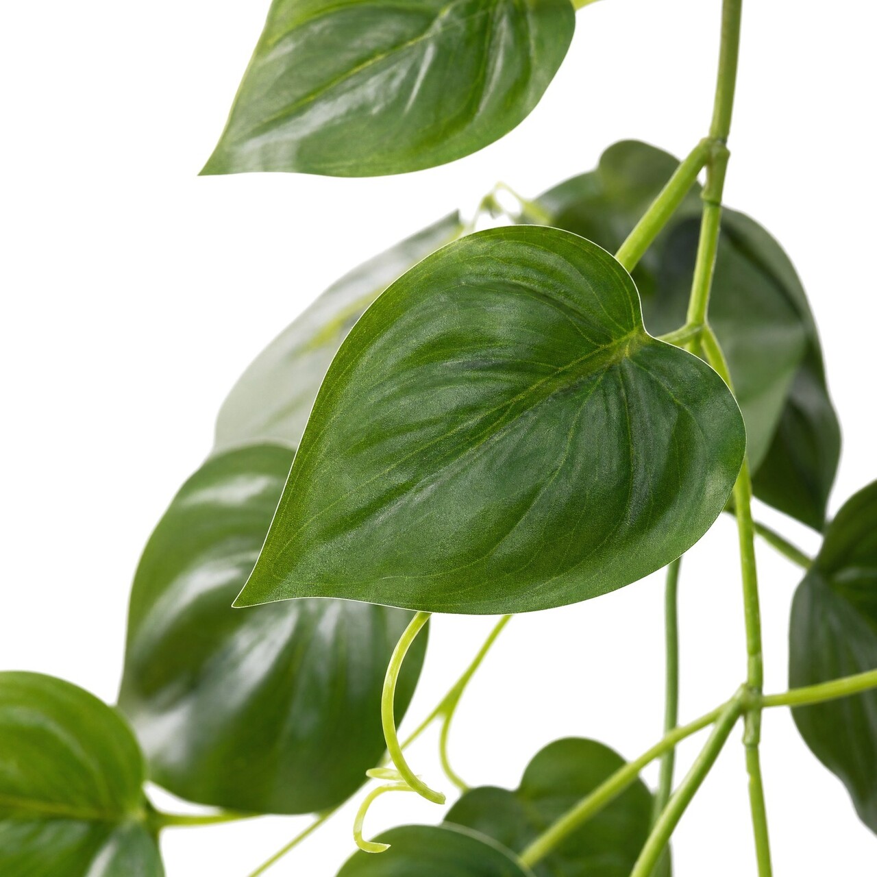 Philodendron kunstslinger 200 cm – brandvertragend