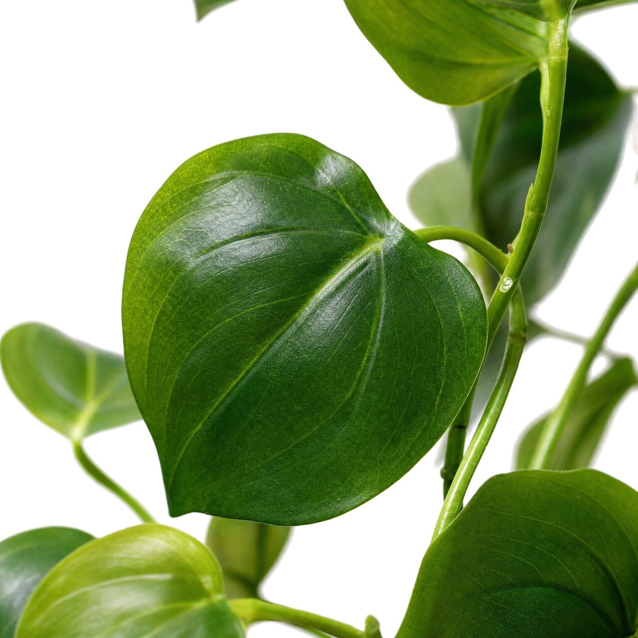 Philodendron kunsthangplant 80 cm – brandvertragend