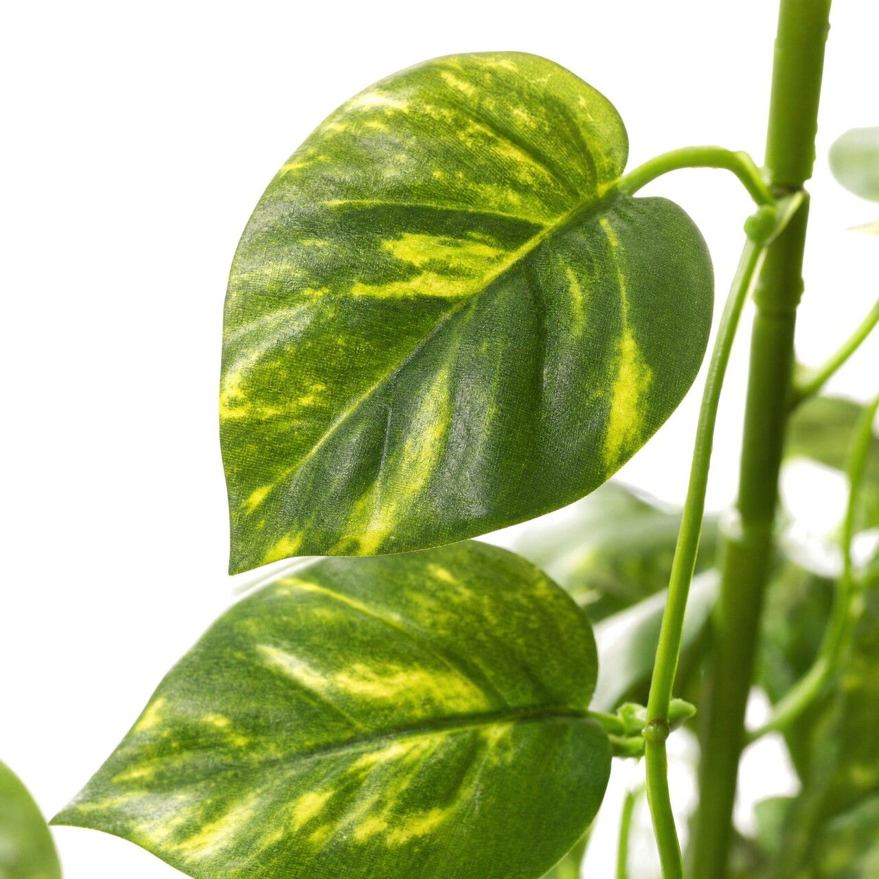 Pothos Kunsthängepflanze bunt 110 cm – schwer entflammbar