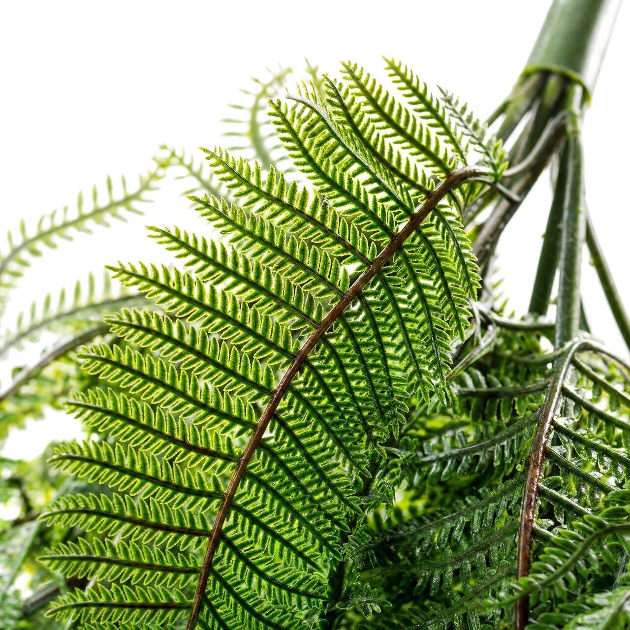 Leervaren kunsthangplant 110 cm – FR & UV-bestendig