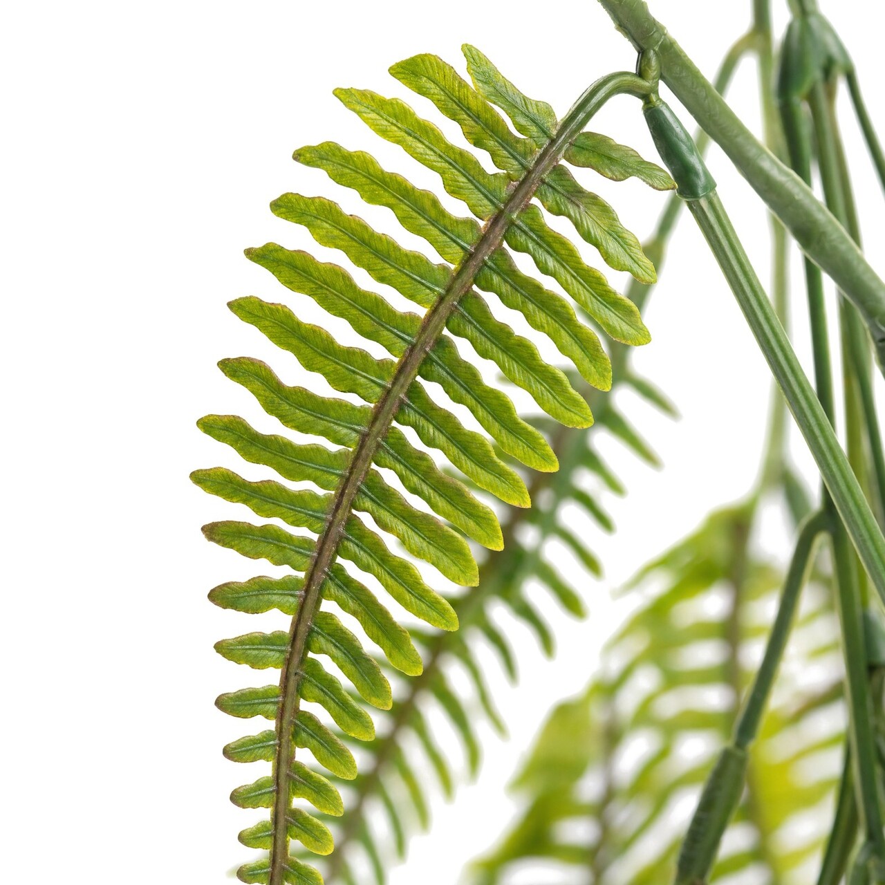 Bostonvaren kunsthangplant groen 75 cm – FR & UV-bestendig