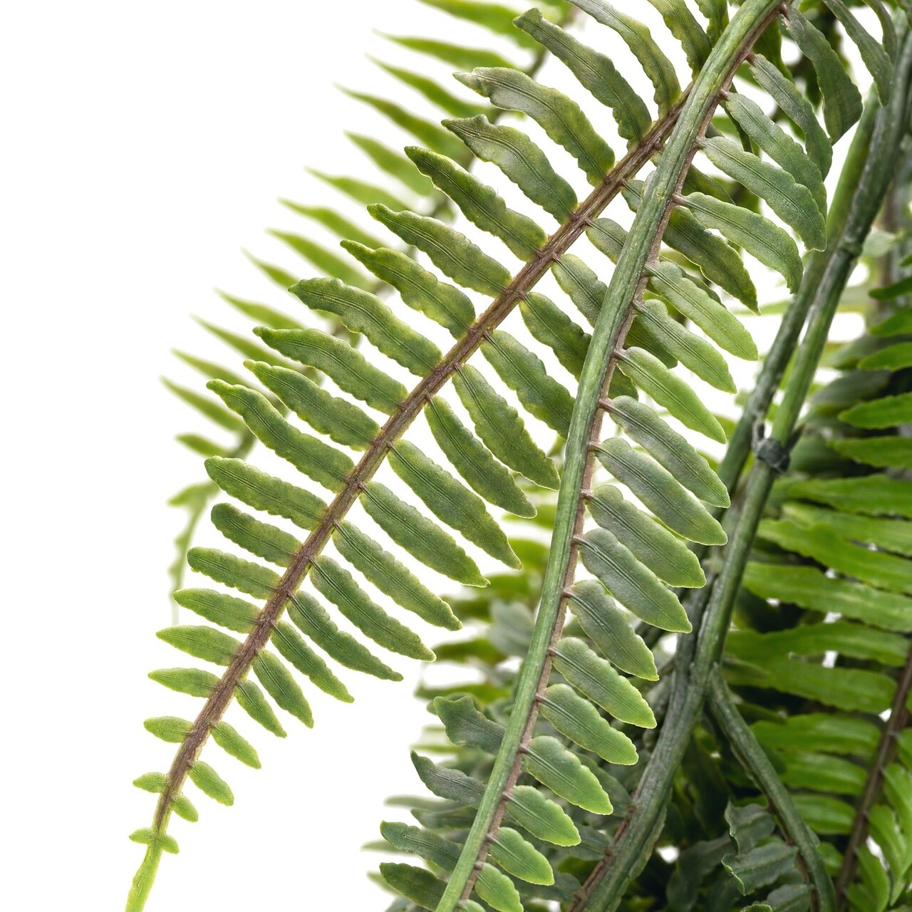 Bostonvaren kunsthangplant groen 53 cm – FR & UV-bestendig
