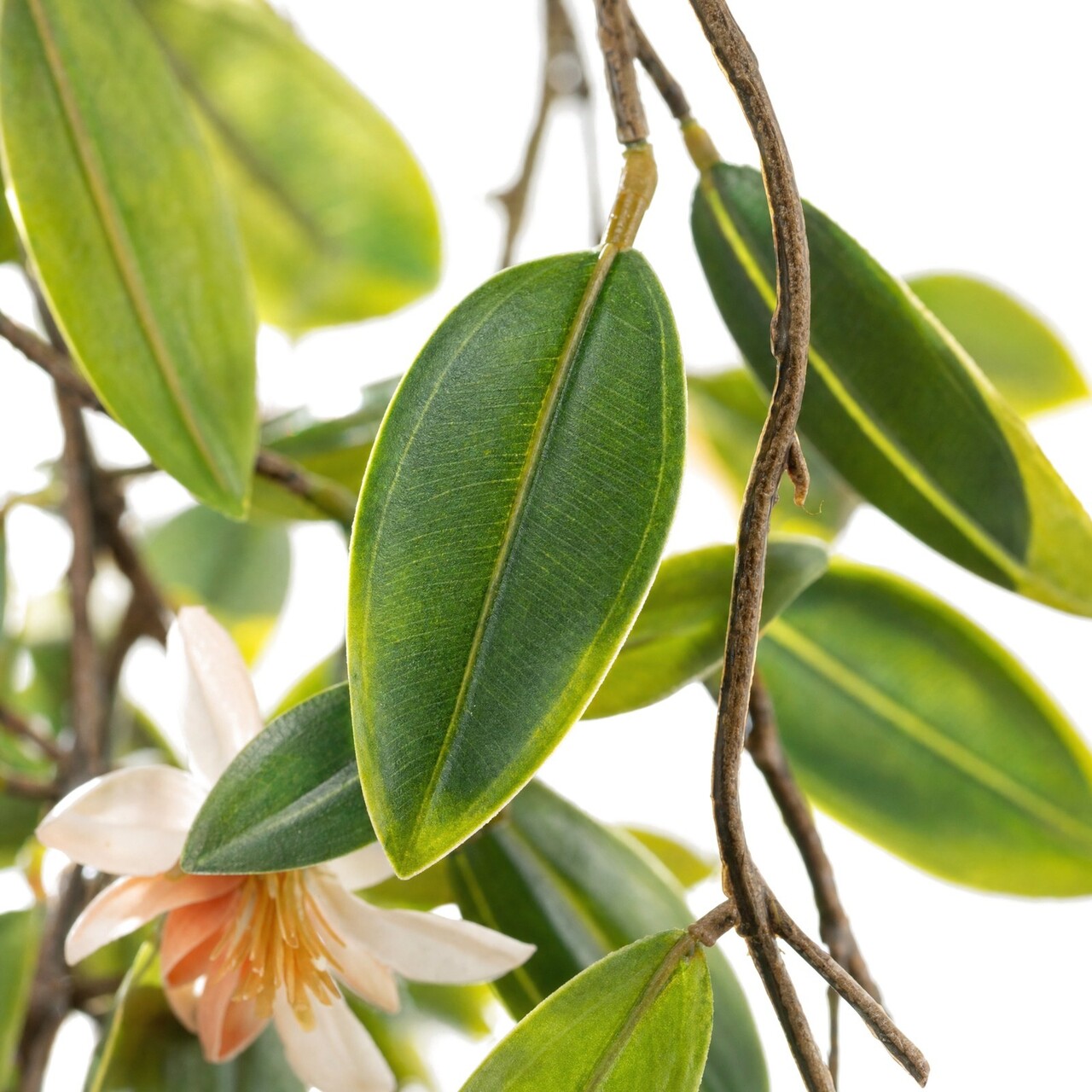 Kunsthangplant bloeiend groen 90 cm – FR & UV-bestendig