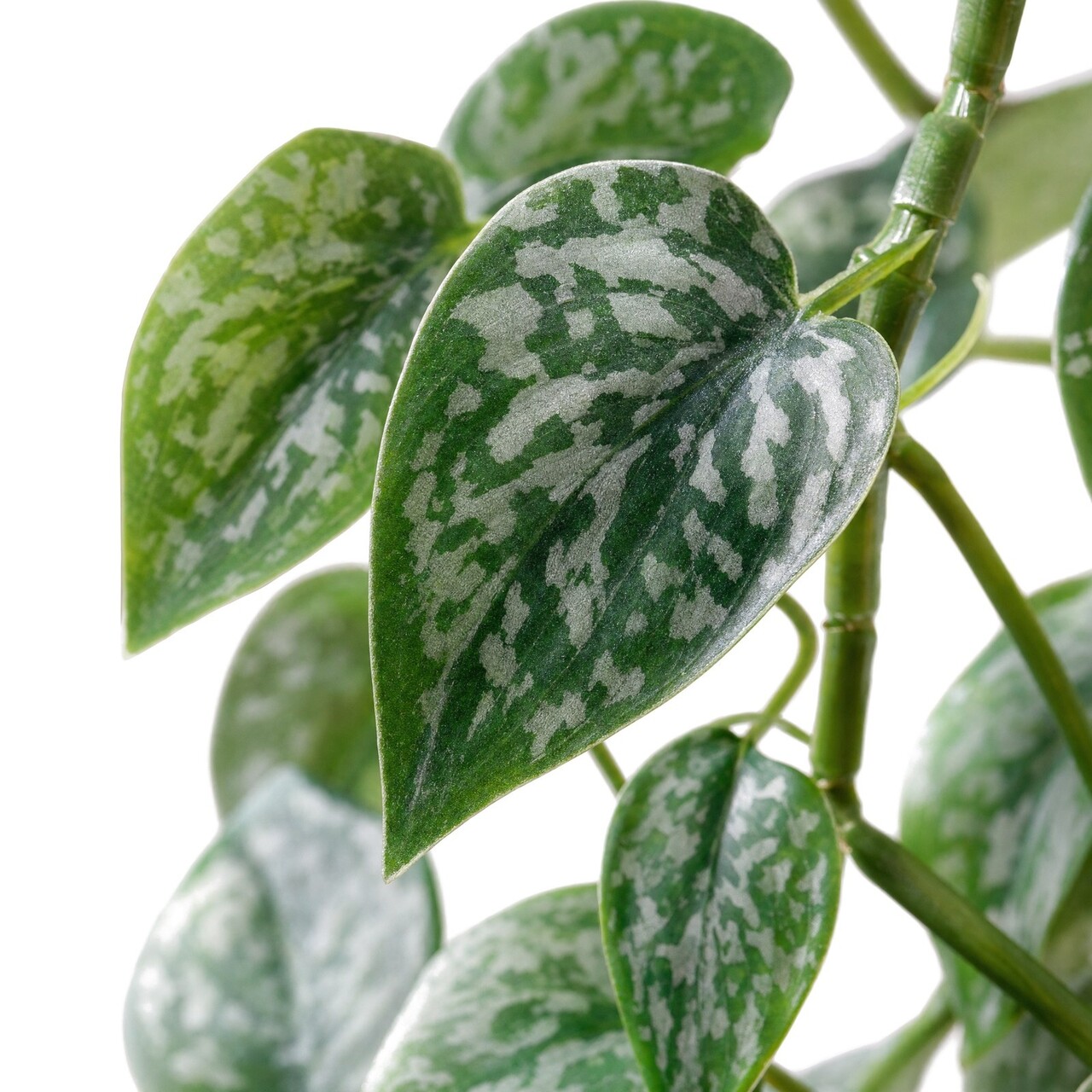 Scindapsus Silver Lady kunsthanger 80 cm – brandvertragend