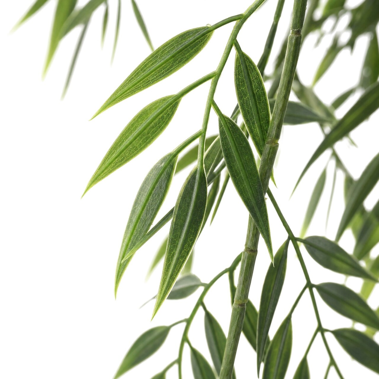 Eucalyptus kunsthanger donkergroen 104 cm – brandvertragend
