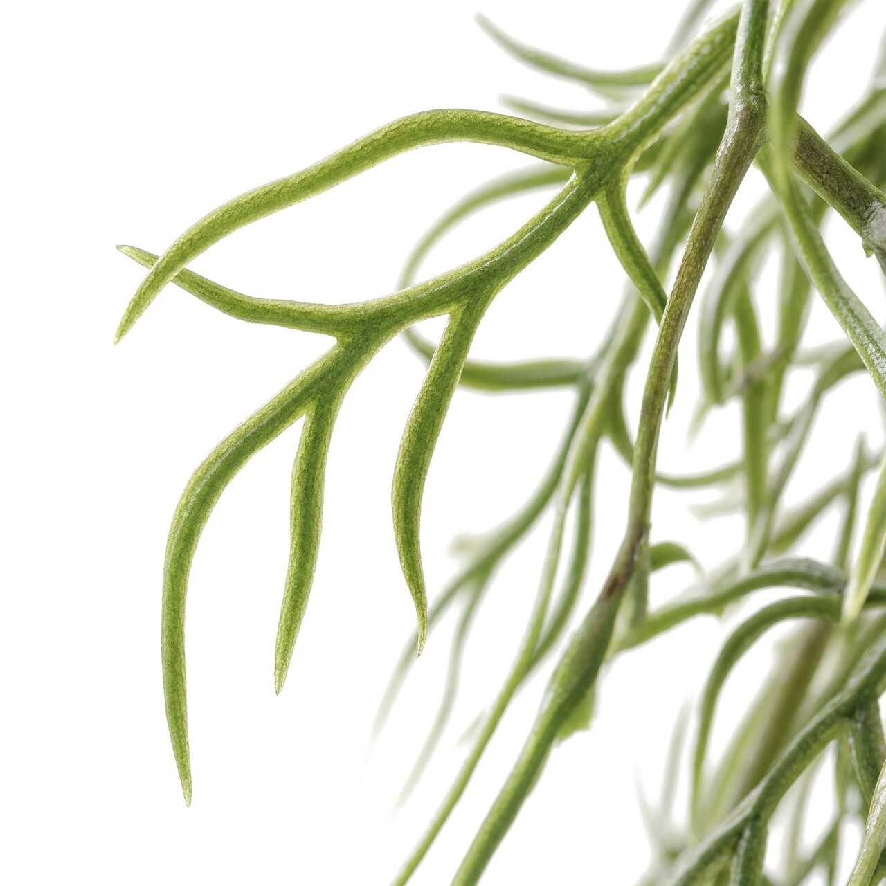 Tillandsia kunsthangplant 90 cm – UV-bestendig